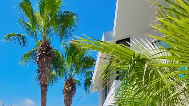 A modern residential building with a well-maintained garden, including palm trees and yellow flowering plants. - Villa Mar Azul (Manta)