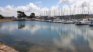 A marina with numerous sailboats docked along the water's edge.