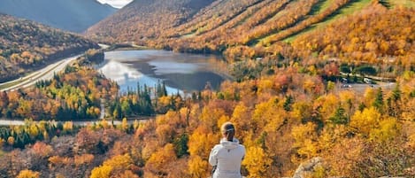 Eine Person sitzt auf einem Felsen und blickt auf einen See, der von herbstlich gefärbten Bäumen und Bergen umgeben ist.