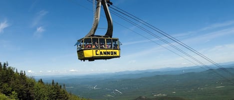 A cable car labeled "Cannon" suspended over a mountainous landscape.