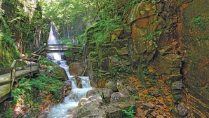 A waterfall cascading down a rocky cliff, surrounded by lush greenery and a wooden walkway. - Parkers Motel (Lincoln)