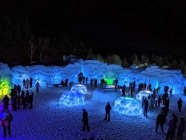 Un jardín de esculturas de hielo con estructuras iluminadas y visitantes.