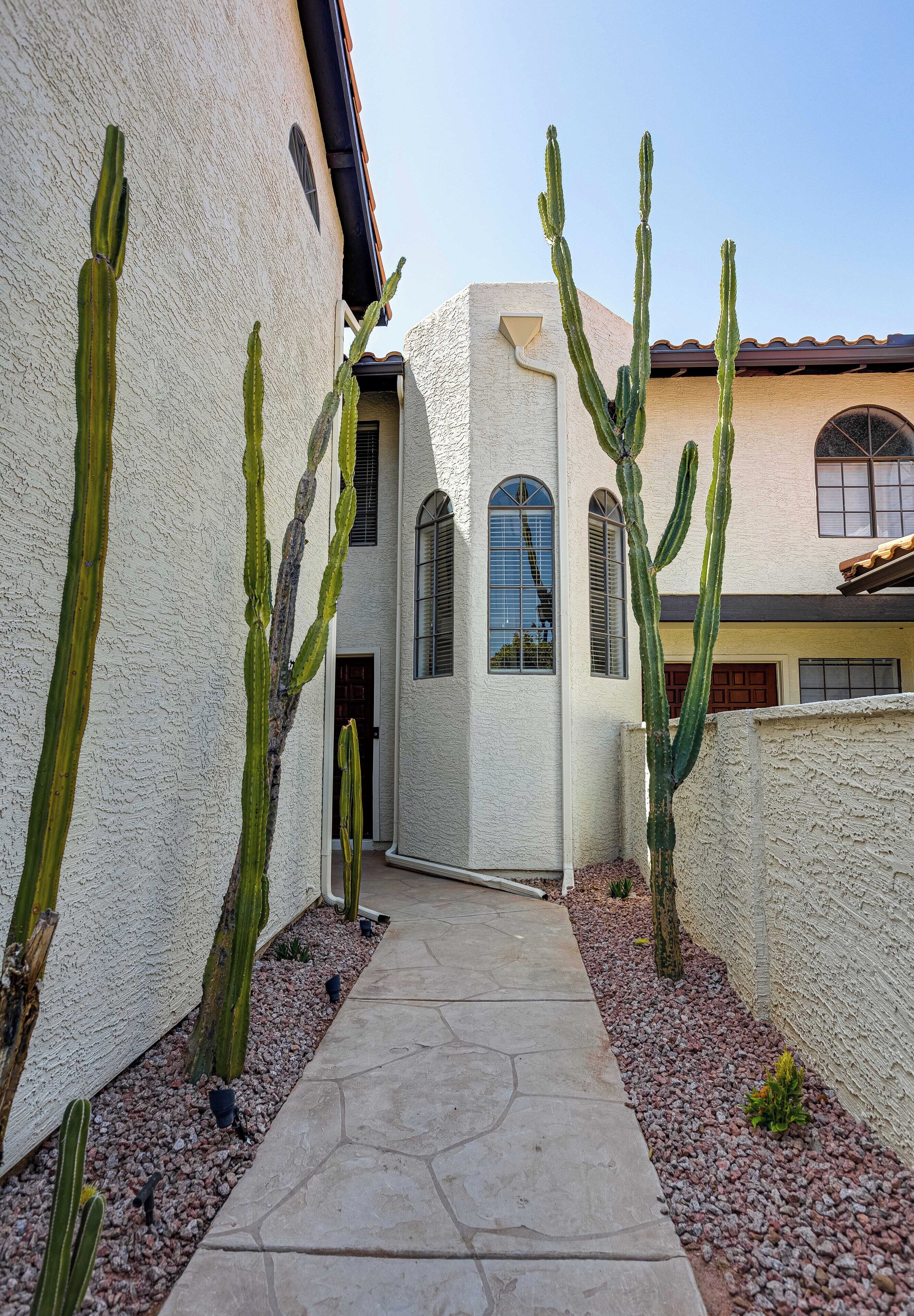 Een gebouw met een smal pad bekleed met cactussen, een witte gevel en een raam met luiken.