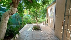 A paved pathway leading to a building with a small tree in the center. - SE019 - Senigallia, delightful townhouse with portico (Senigallia)