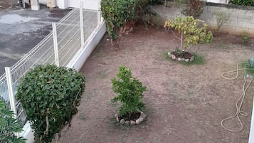 Ăreas de la propiedad