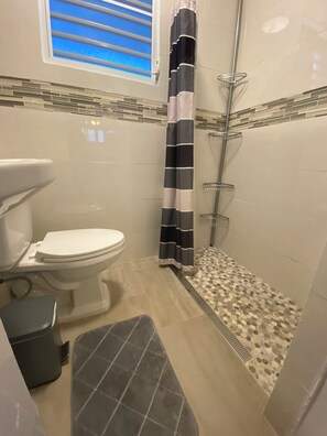 Shower, hair dryer, towels, soap