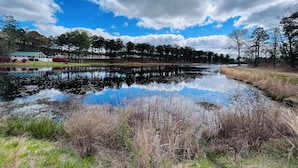 Un paisaje sereno con un estanque que refleja el entorno, un edificio blanco con techo verde y un bosque denso al fondo.