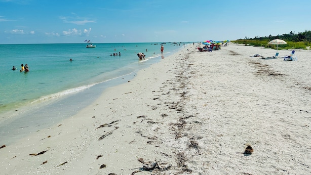 Una spiaggia con acque cristalline turchesi, una riva sabbiosa e un molo in lontananza.