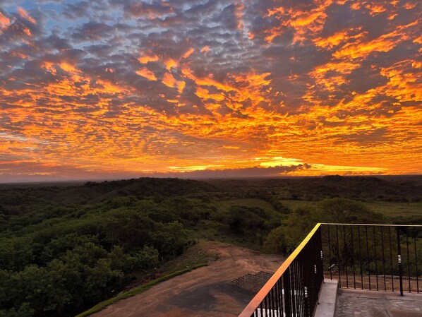 Overnatningsstedets område