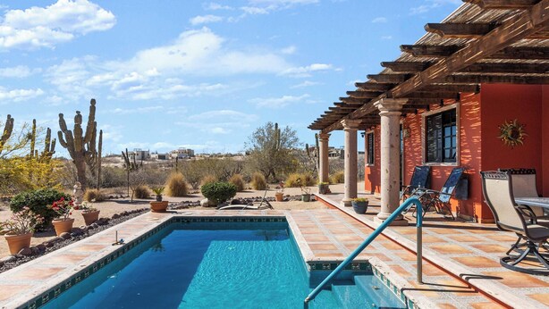 A swimming pool with a tiled deck, surrounded by potted plants and cacti, with a pergola and outdoor furniture.