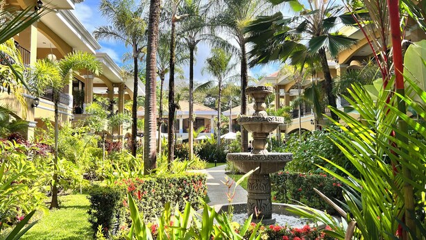 Un jardí exuberant amb una font central, envoltat de palmeres i diverses plantes.