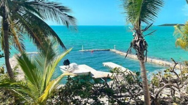 A beach with palm trees and a clear blue sky. - Sunset Wishes on Bone Fish Flats (Hermitage)
