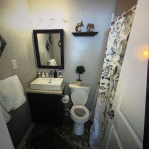 Hair dryer, towels, soap, shampoo