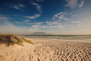 Plage, chaises longues