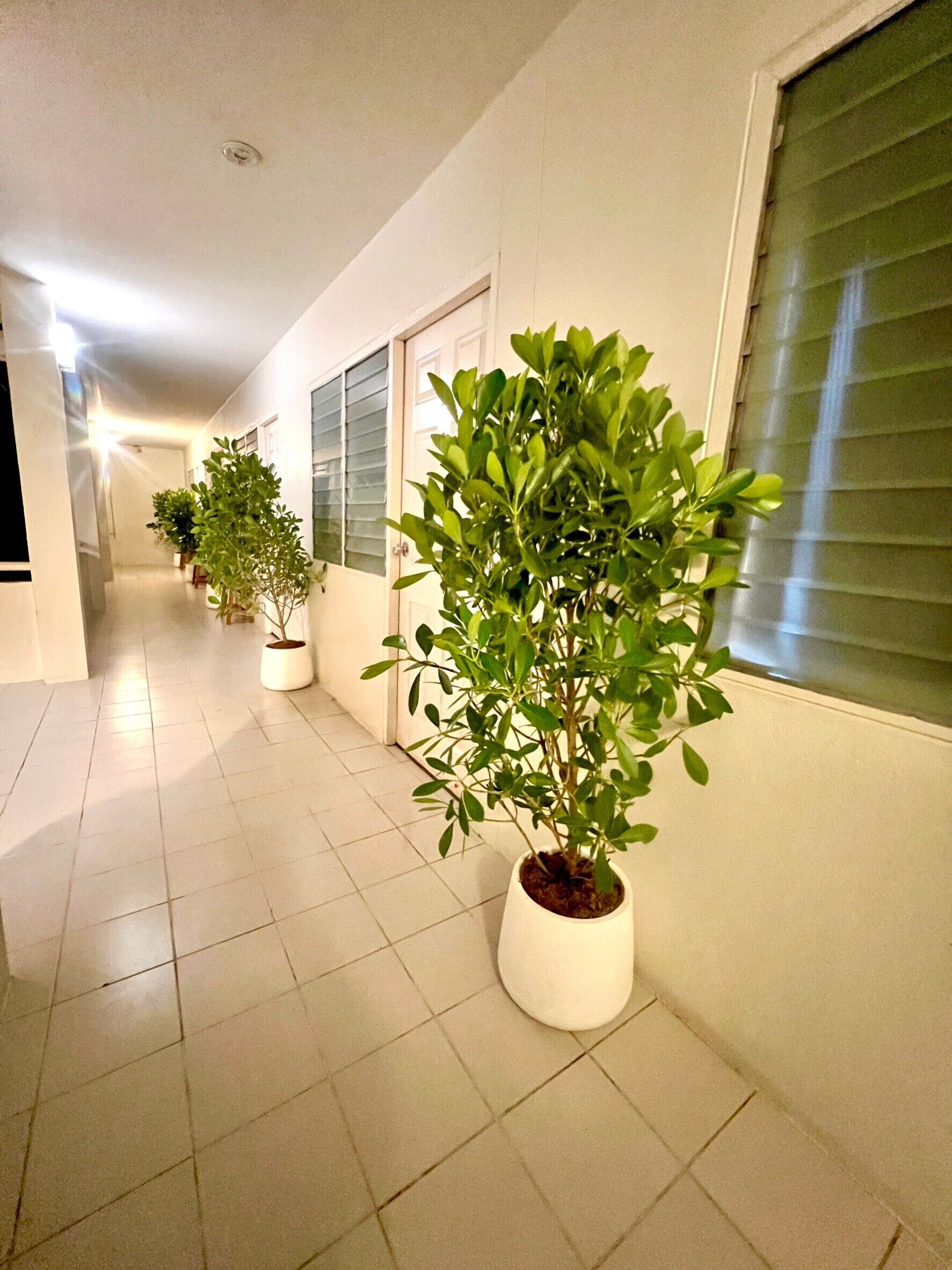 Façade de l’hébergement