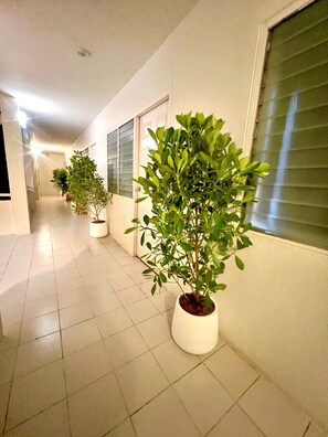 Facciata della struttura