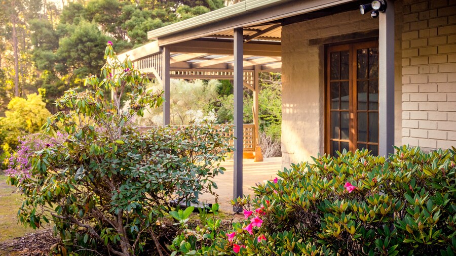 Cloudy Creek Cottage