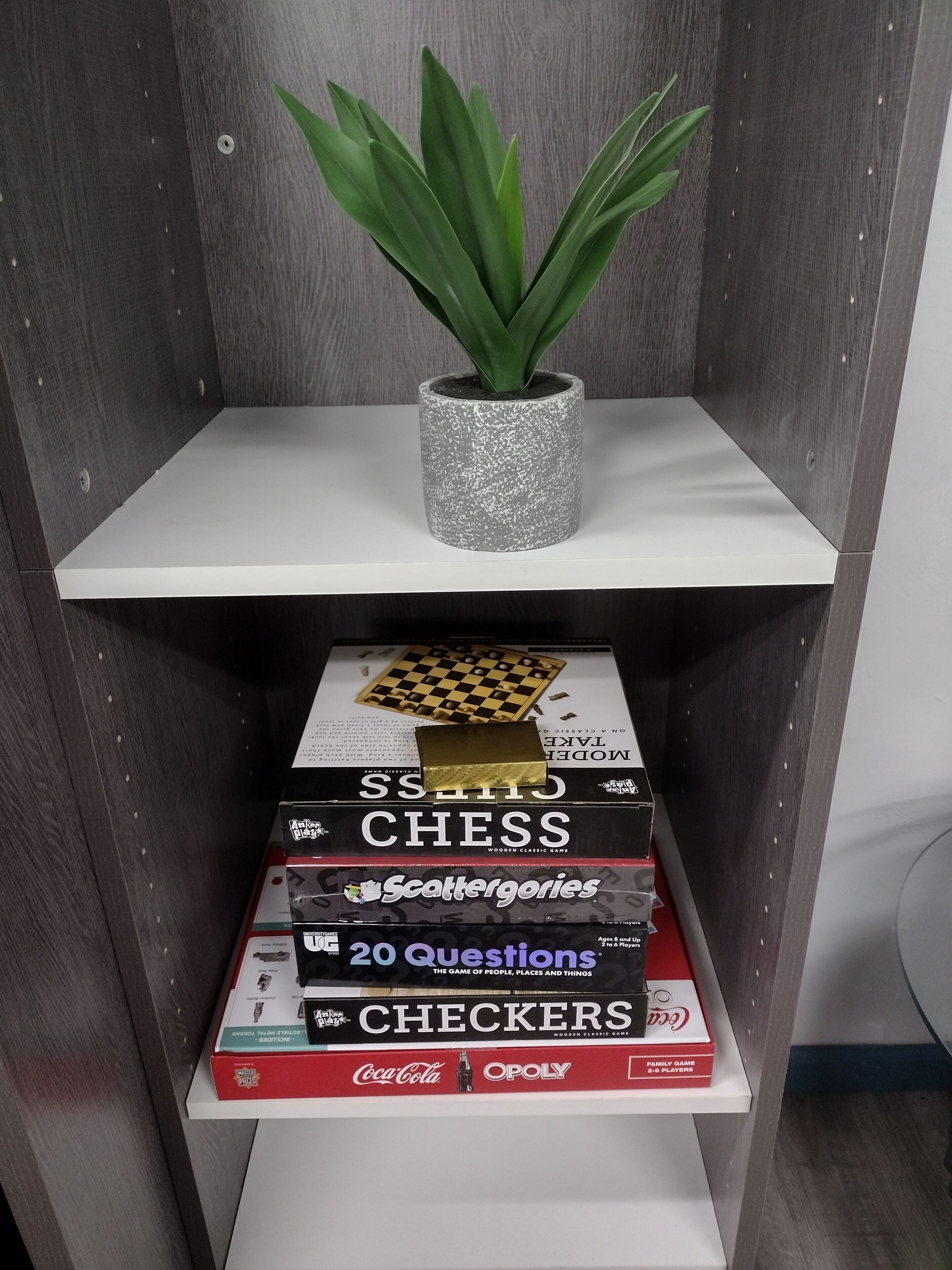 A shelf with a potted plant, chess, and board games.