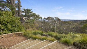 Eine Steintreppe, die einen Hügel hinauf führt, umgeben von heimischer Vegetation und Bäumen.