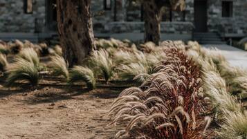 A courtyard with a stone building, trees, and ornamental grasses.