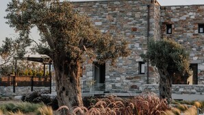A stone building with a garden featuring tall grasses and trees. - Onym Curated Villas (Naxos)