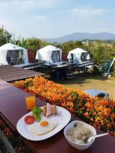 Yellowstone Cheewa View