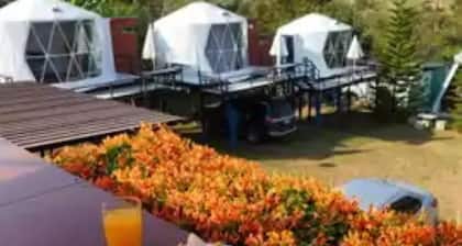 Yellowstone Cheewa View