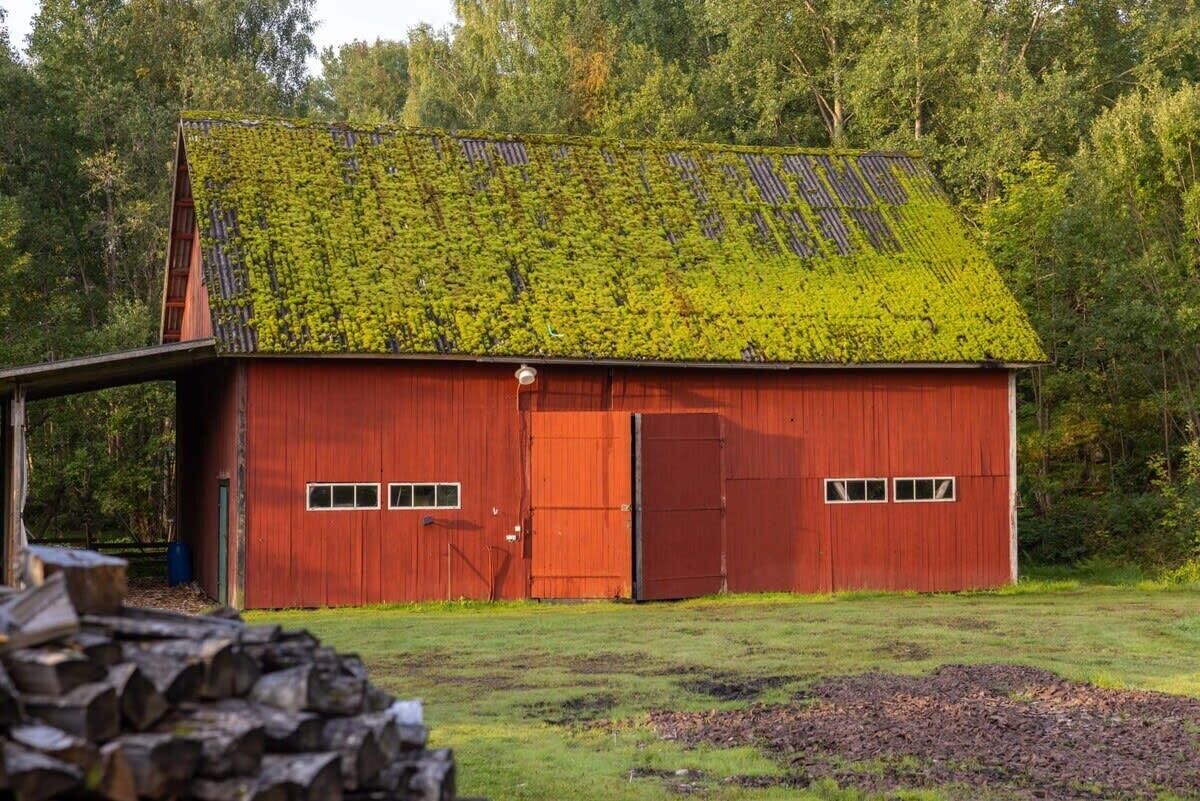 Eksteriør