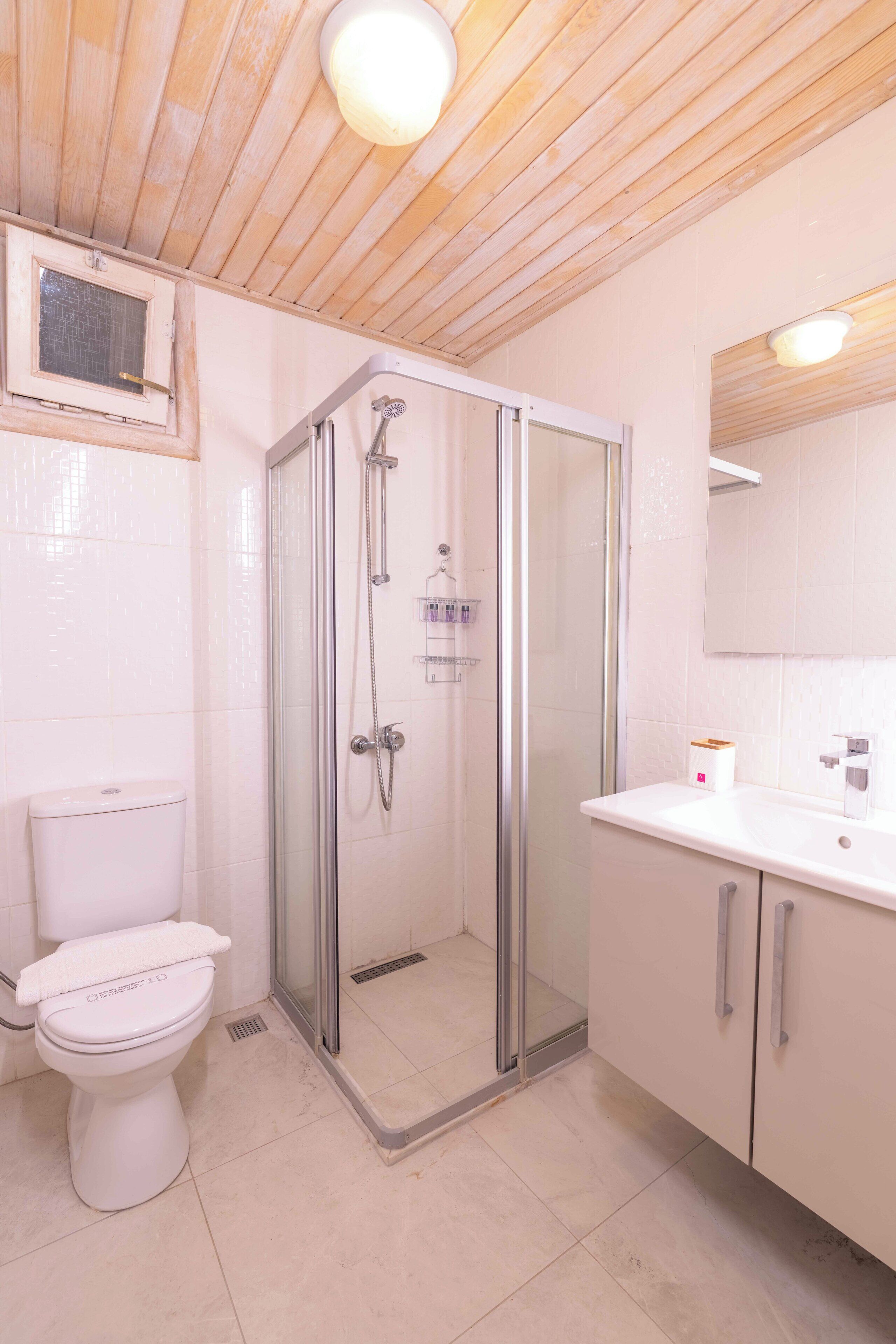 A modern bathroom with a glass-enclosed shower, a toilet, and a sink with a mirror.