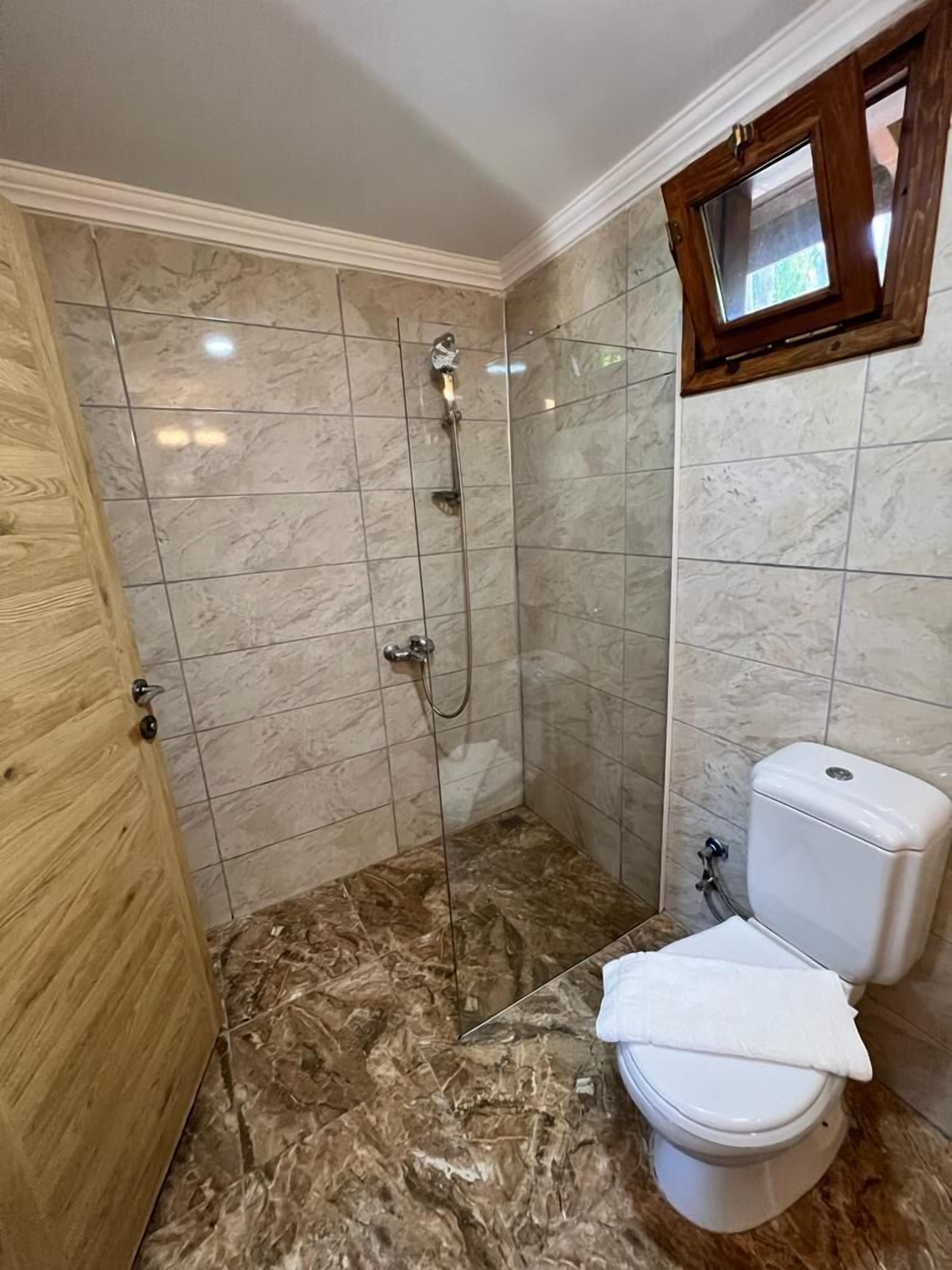 A bathroom with a shower, toilet, and a wooden door.