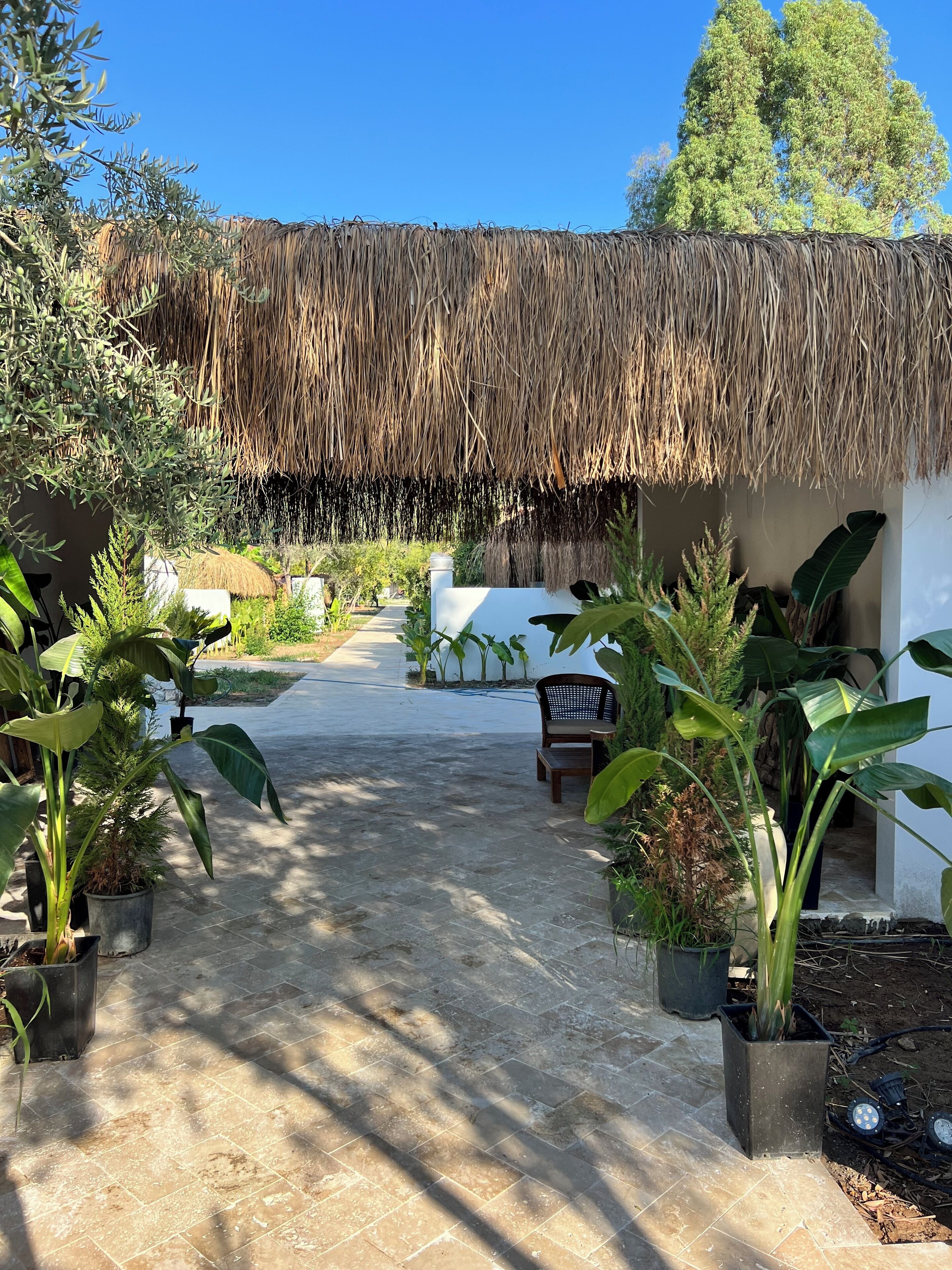 A pathway leading to a building with a thatched roof, surrounded by potted plants and a bench.