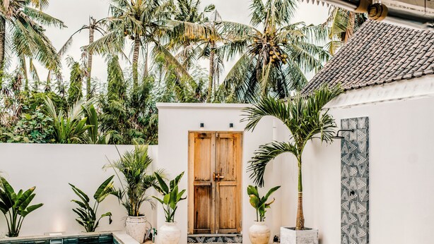 Uma área de piscina com porta de madeira, plantas em vasos e telhado cerâmico.