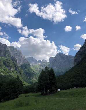 Husvogn, 1 soverom, hageutsikt | Diverse