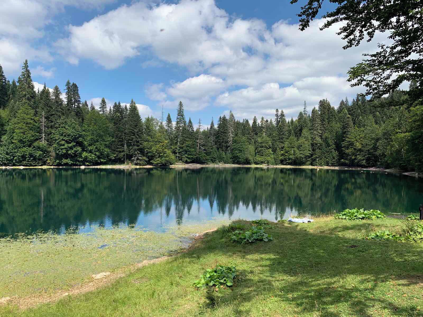 Mobile Home, 1 Bedroom, Garden View | Property grounds