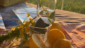 A clear glass pitcher, a wooden cutting board with orange slices, and a small glass container with a plant on a picnic table outdoors.