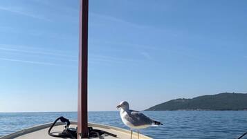 Mobile Home, 1 Bedroom, Garden View | View from property