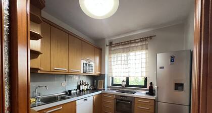 Grand Central Apartment LTH