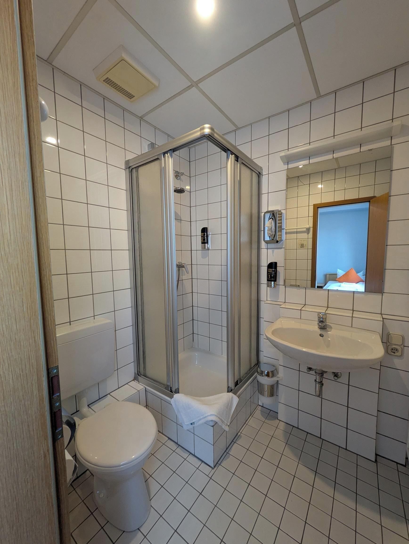 A modern bathroom with a glass-enclosed shower, a white toilet, and a sink with a mirror above it.