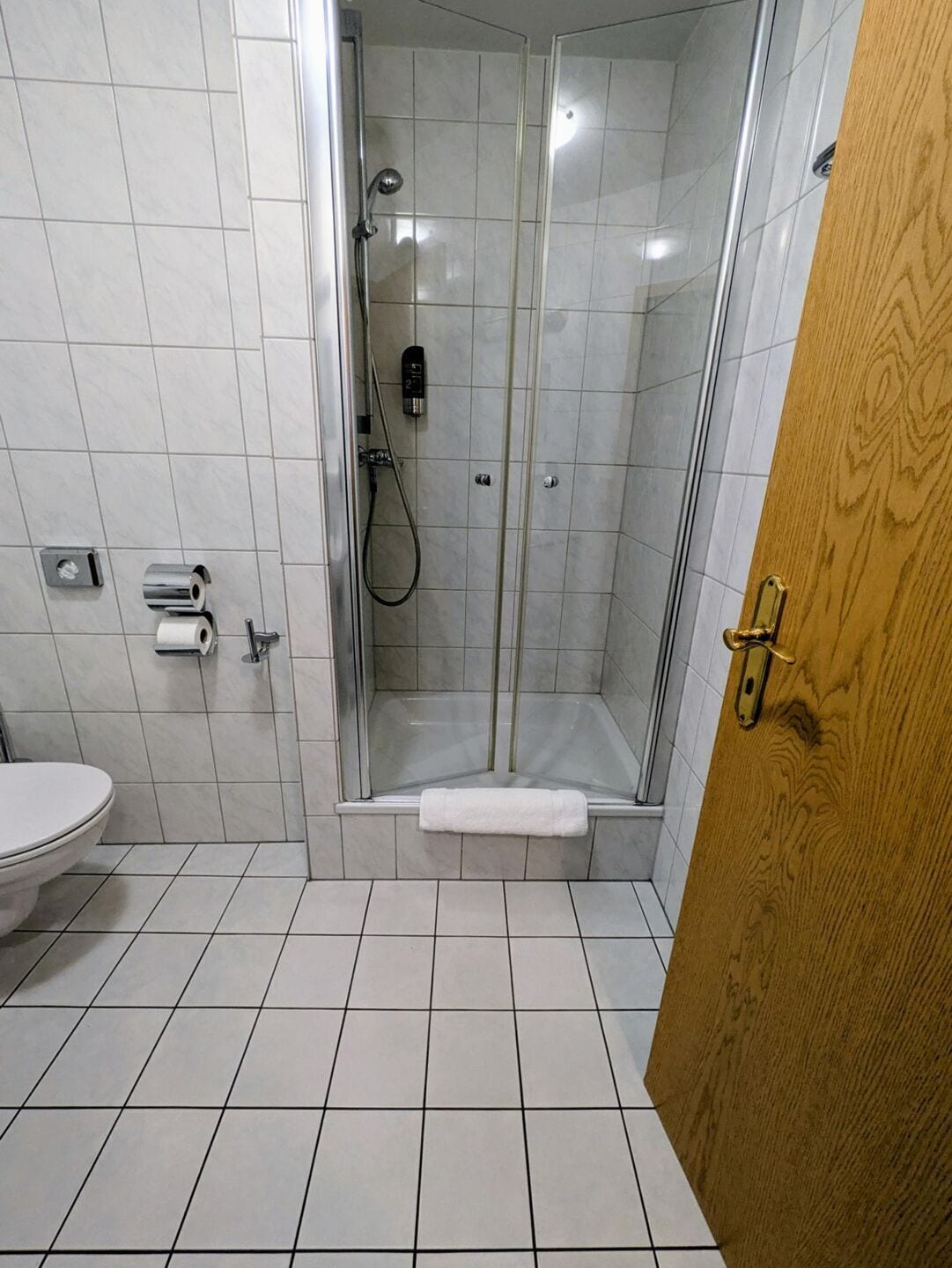 Une salle de bain équipée d’une douche, de toilettes et d’un porte-serviettes.