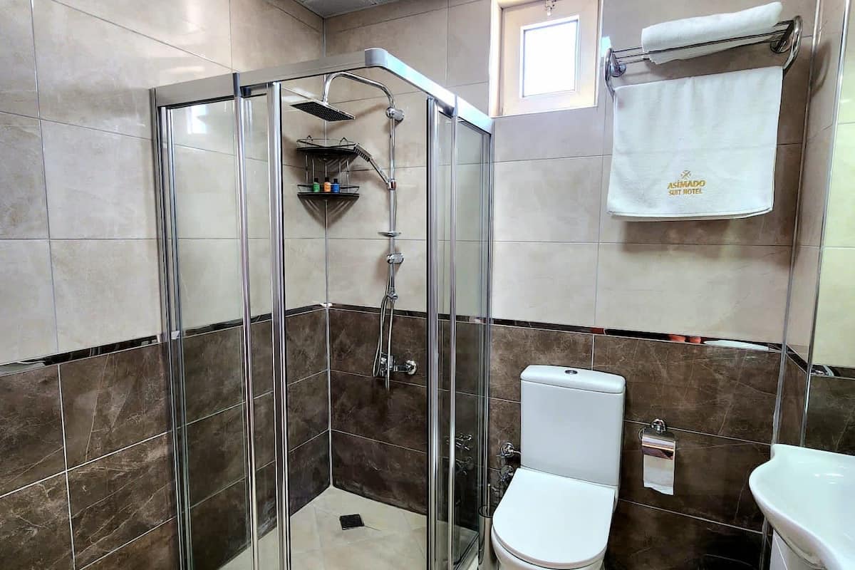 classic single room | bathroom | combined shower/bathtub, hydromassage showerhead, hair dryer, towels