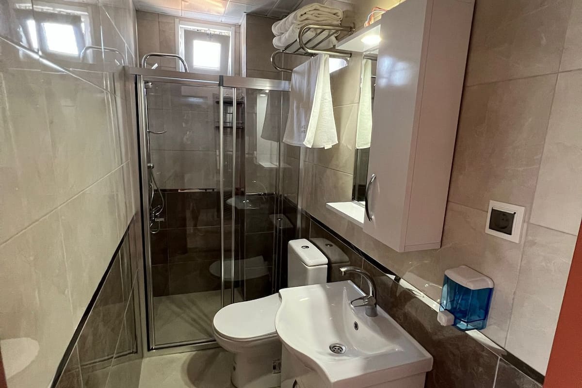 standard twin room | bathroom | combined shower/bathtub, hydromassage showerhead, hair dryer, towels