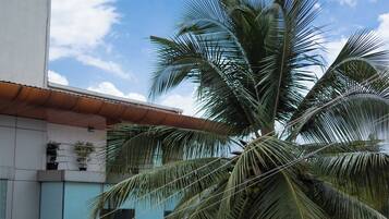 Deluxe Double or Twin Room | Terrace/patio