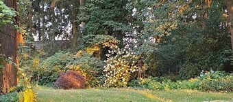 Natur pur, Pferdehof, Waldgrundstück