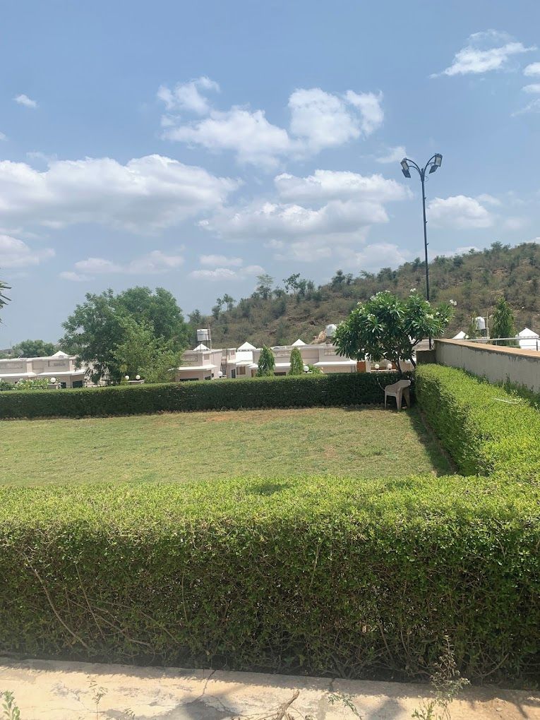 حديقة