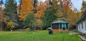 Property grounds - 
Cozy four Season  Addington Highlands cottage in 5 acres, near Bon Echo.
 (Denbigh)
