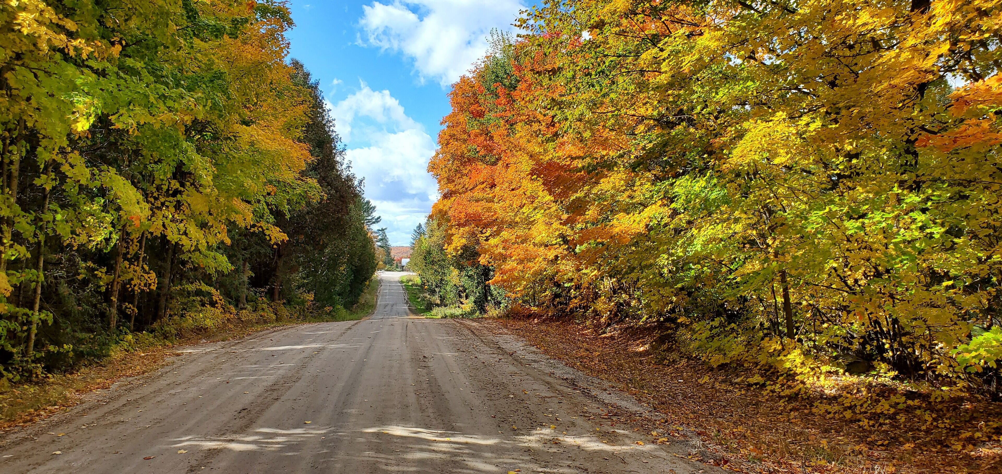Een zandweg omzoomd door bomen met herfstkleuren.