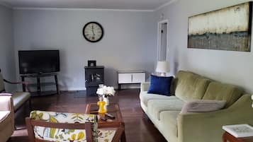 Smart TV, chimenea y libros