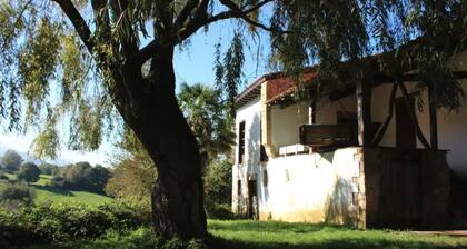 The willow tree house - Hidden in the perfect spot.