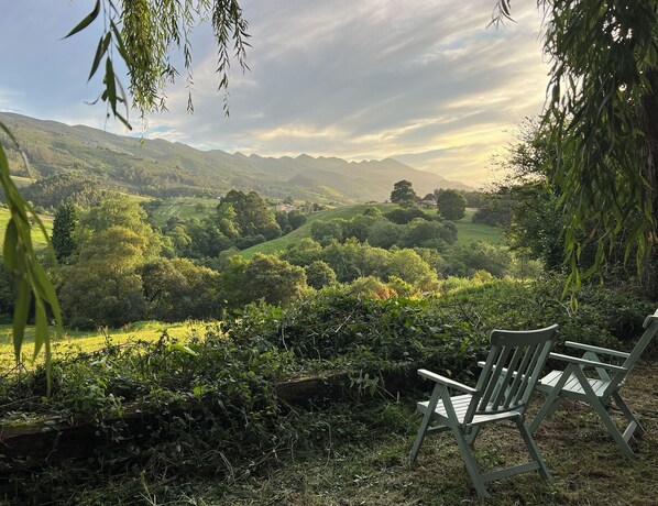 A wooden chair in a lush green landscape with a view of distant hills. - The willow tree house - Hidden in the perfect spot. (Noriega)