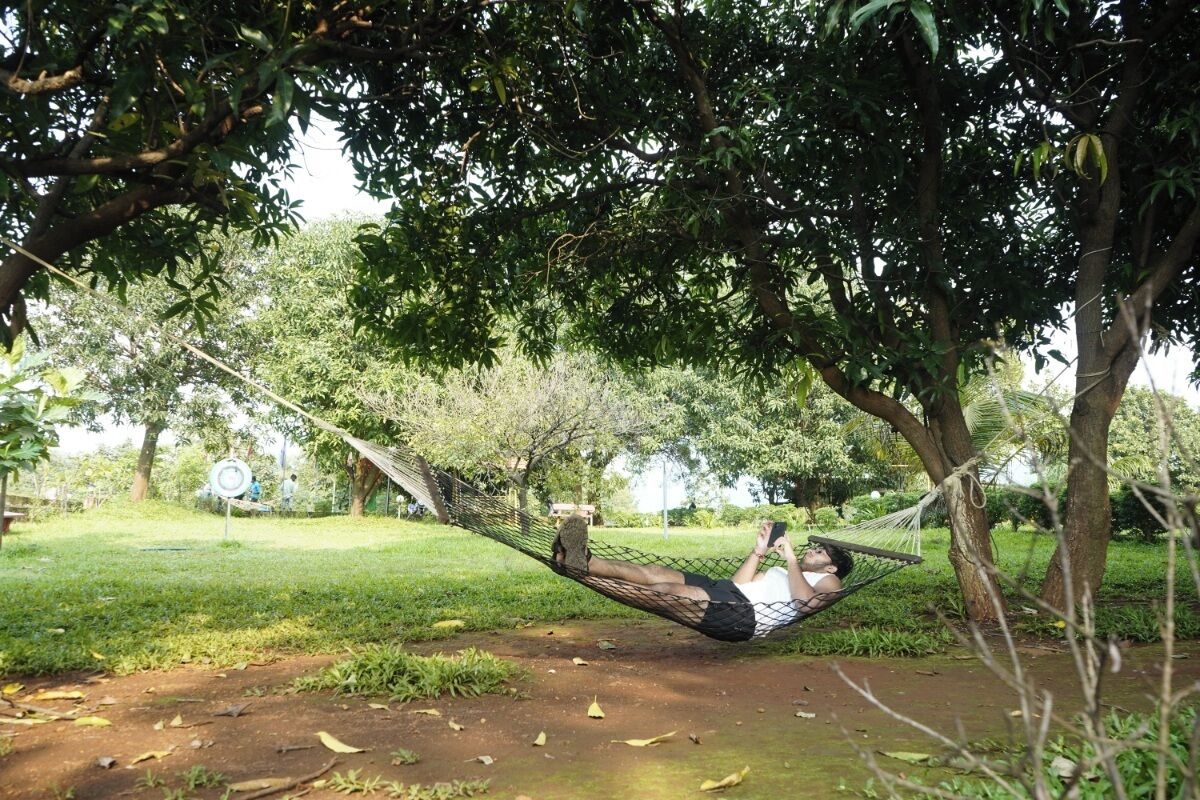 Un hamac suspendu sous un arbre dans un parc, avec de l’herbe et un sentier de terre.